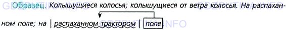 Фото условия: Номер №100 из ГДЗ по Русскому языку 7 класс: Ладыженская Т.А. 2013г.