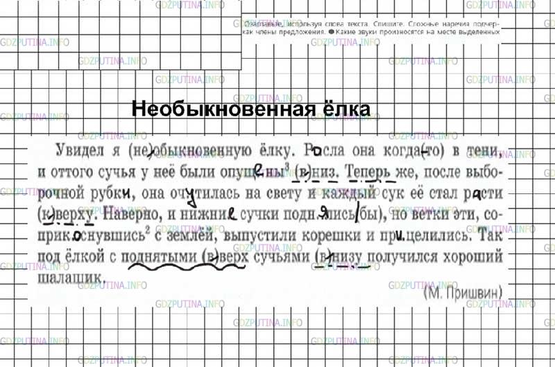 Фото решения 2: Номер №387 из ГДЗ по Русскому языку 7 класс: Ладыженская Т.А. 2024г.