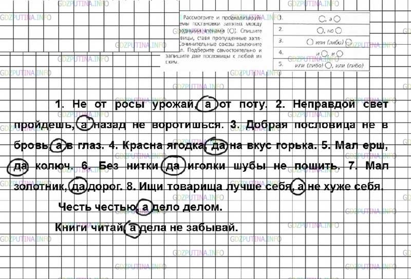 Фото решения 2: Номер №387 из ГДЗ по Русскому языку 7 класс: Ладыженская Т.А. 2019г.