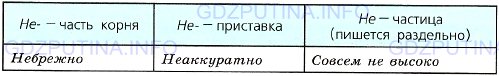 Фото условия: Номер №242 из ГДЗ по Русскому языку 7 класс: Ладыженская Т.А. 2013г.