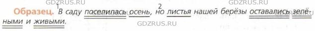 Фото условия: Номер №12 из ГДЗ по Русскому языку 8 класс: Ладыженская Т.А. г.