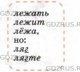 Фото условия: Номер №293 из ГДЗ по Русскому языку 8 класс: Ладыженская Т.А. г.