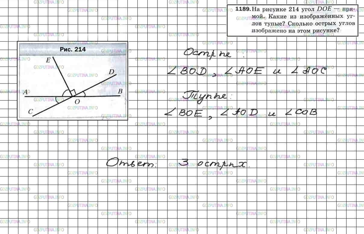 Фото решения 4: Номер №1189 из ГДЗ по Математике 5 класс: Мерзляк А.Г. г.