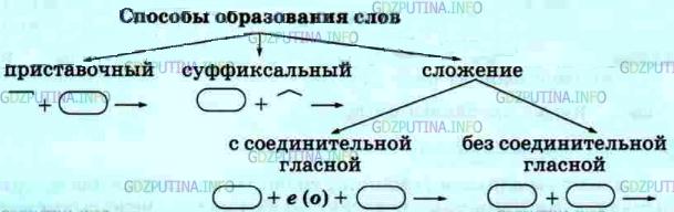 Фото условия: Упражнение №296 из ГДЗ по Русскому языку 5 класс: Разумовская М.М. г.