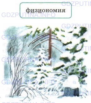 Фото условия: Номер №327 из ГДЗ по Русскому языку 6 класс: Ладыженская Т.А. 2015г.