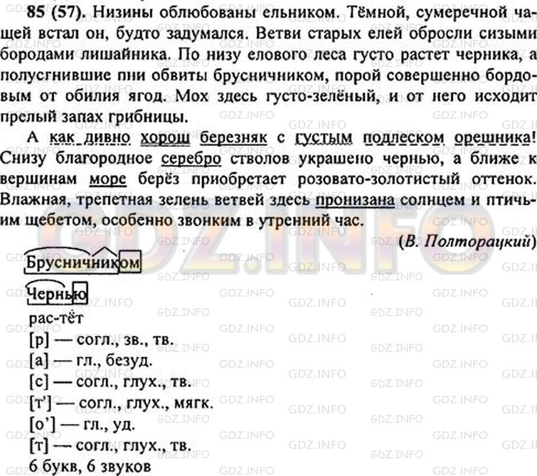 Фото решения 1: Номер №102 из ГДЗ по Русскому языку 6 класс: Ладыженская Т.А. 2019г.