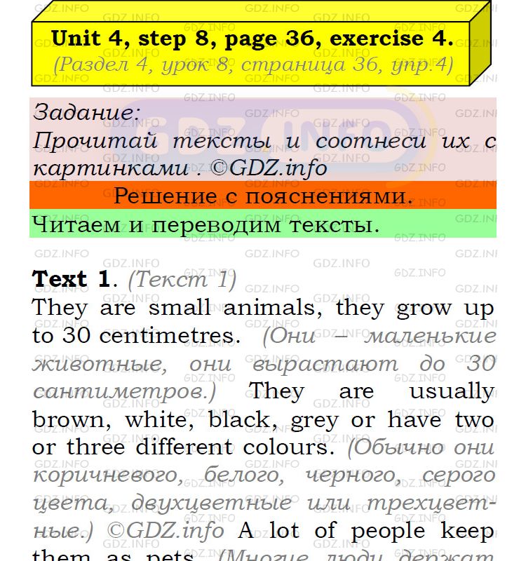 Фото подробного решения: UNIT 4, Step 8, Номер 4 из ГДЗ по Английскому языку 5 класс: Афанасьева (Учебник Rainbow)