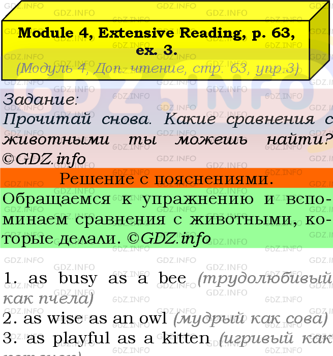 Фото подробного решения: Module 4, Страница 63, Номер 3 из ГДЗ по Английскому языку 5 класс: Ваулина (Учебник Spotlight)