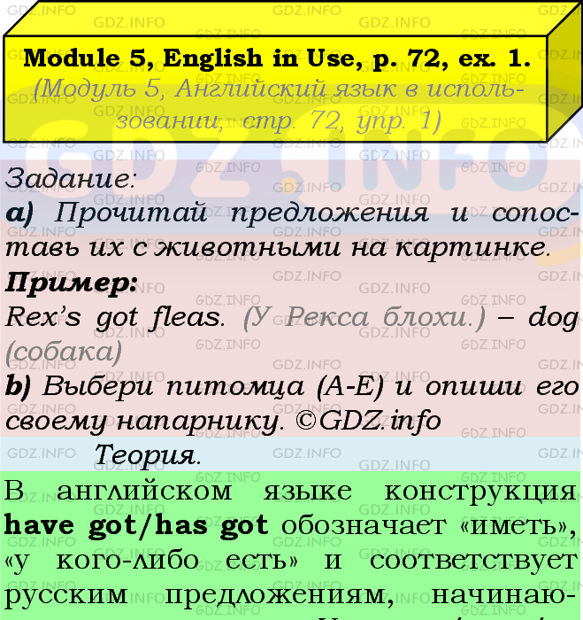 Фото подробного решения: Module 5, Страница 72, Номер 1 из ГДЗ по Английскому языку 5 класс: Ваулина (Учебник Spotlight)