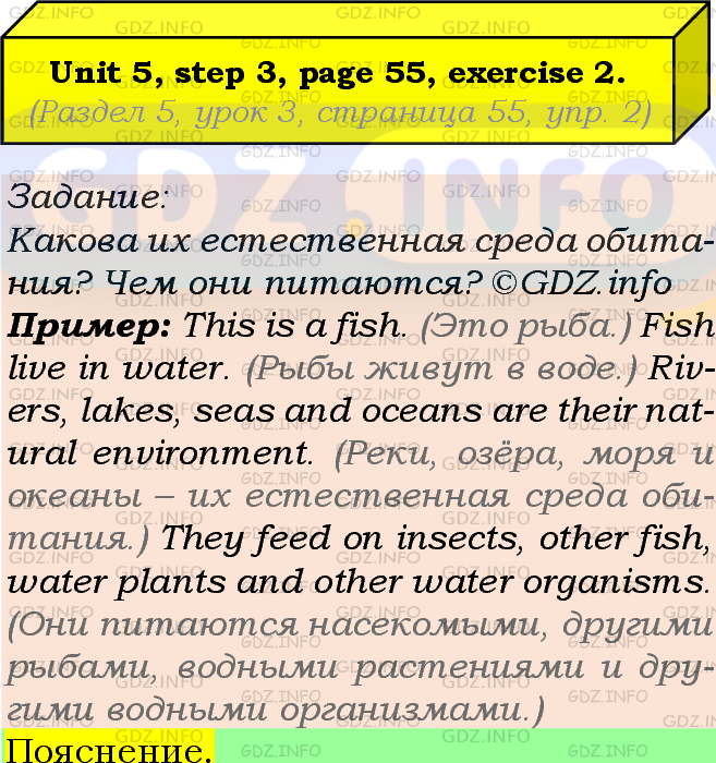 Фото подробного решения: UNIT 5, Step 3, Номер 2 из ГДЗ по Английскому языку 7 класс: Афанасьева (Учебник Rainbow)