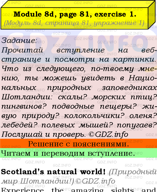 Фото подробного решения: Module 8, Страница 81, Номер 1 из ГДЗ по Английскому языку 7 класс: Ваулина (Учебник Spotlight)