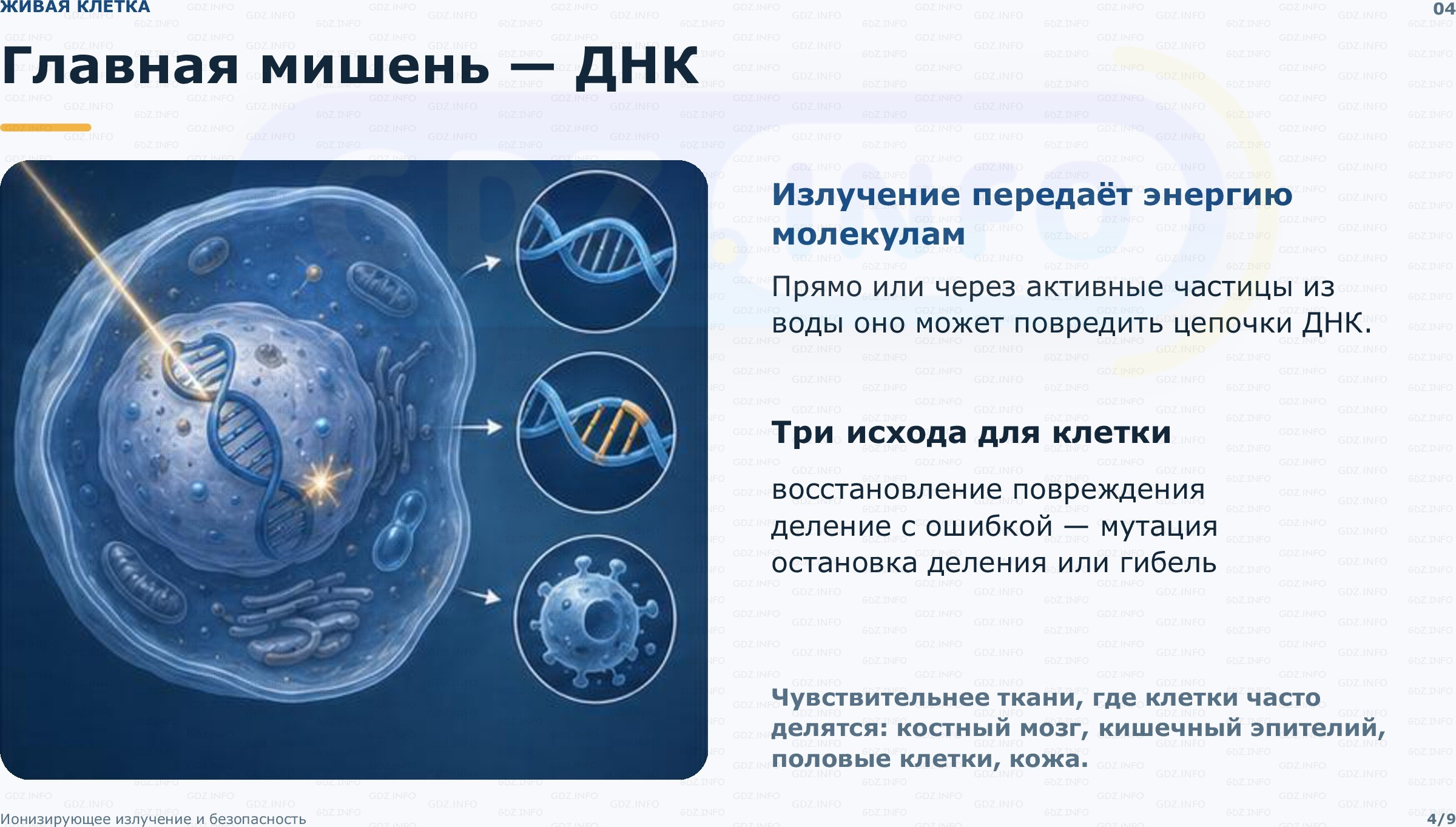 Фото решения 2: Проекты и исследования №1, Итоги главы 4 из ГДЗ по Физике 9 класс: Пёрышкин, Иванов 2026г. (4) Фото решения 2: Проекты и исследования №1, Итоги главы 4 из ГДЗ по Физике 9 класс: Пёрышкин, Иванов 2026г. (4)