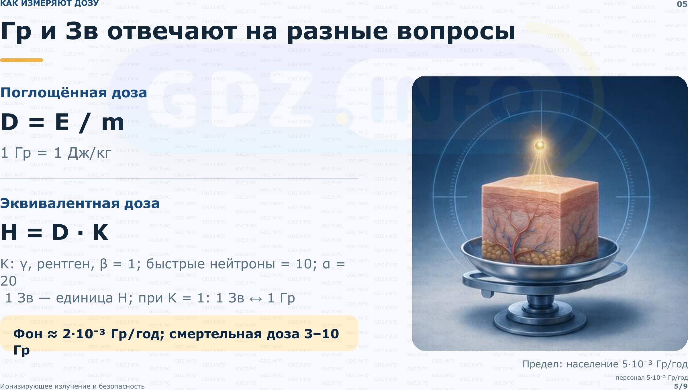 Фото решения 2: Проекты и исследования №1, Итоги главы 4 из ГДЗ по Физике 9 класс: Пёрышкин, Иванов 2026г. (5) Фото решения 2: Проекты и исследования №1, Итоги главы 4 из ГДЗ по Физике 9 класс: Пёрышкин, Иванов 2026г. (5)