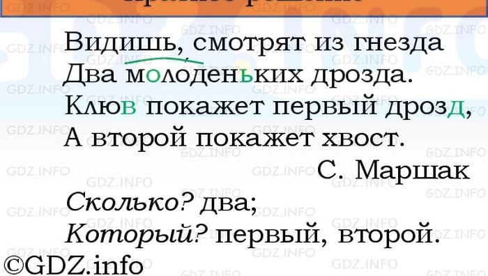 Фото решения 1: Номер №107, Часть 1 из ГДЗ по Русскому языку 3 класс: Канакина В.П. 2023г. Фото решения 1: Номер №107, Часть 1 из ГДЗ по Русскому языку 3 класс: Канакина В.П. 2023г.