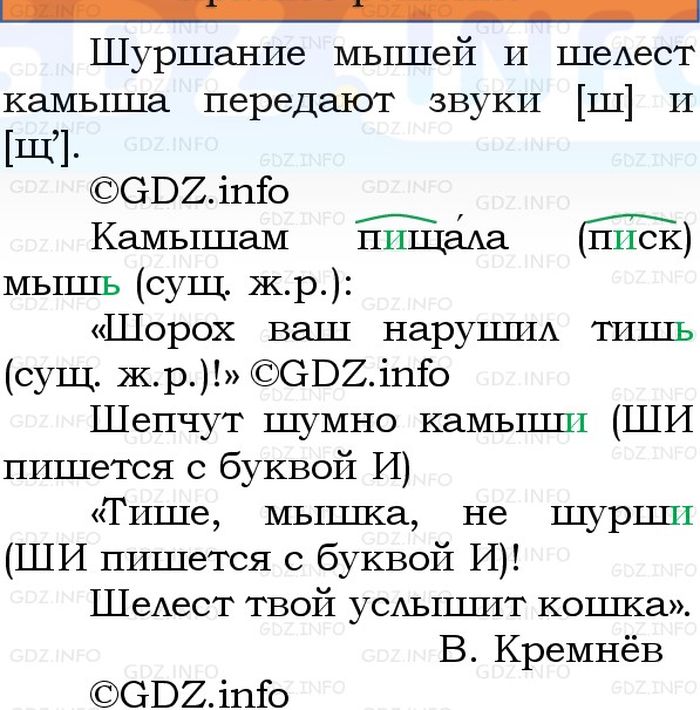 Фото решения 1: Номер №56, Часть 2 из ГДЗ по Русскому языку 3 класс: Канакина В.П. 2023г.